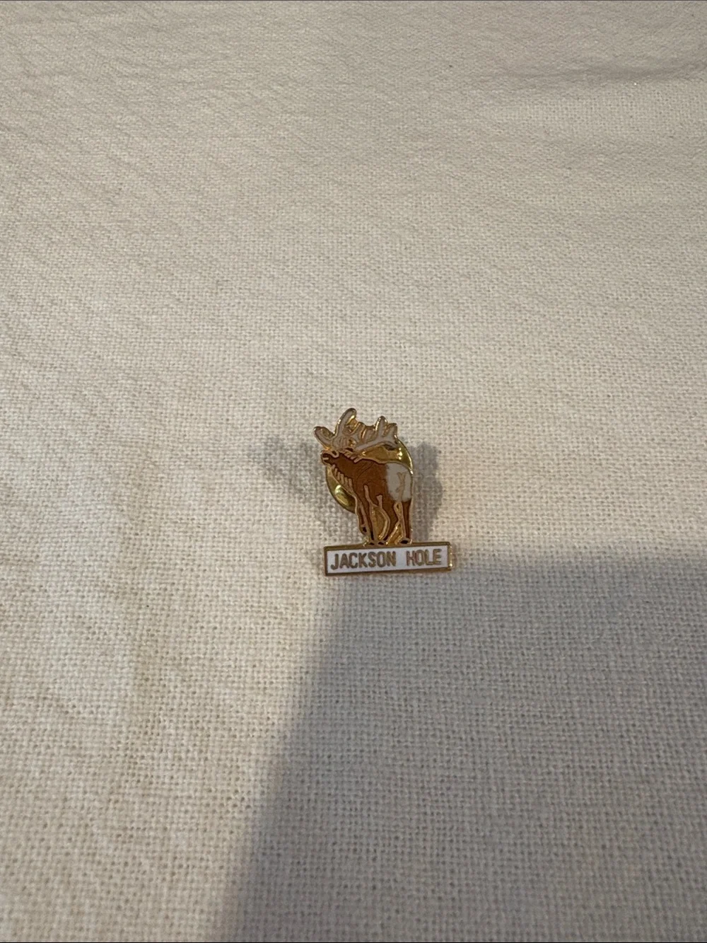 Jackson Hole Pin